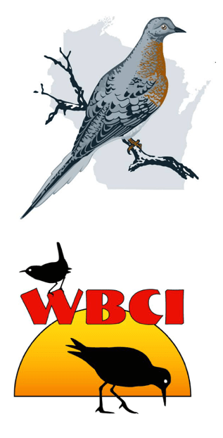 blog_wbci_wso_logos