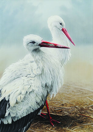 Stork Couple | Leigh Yawkey Woodson Art Museum