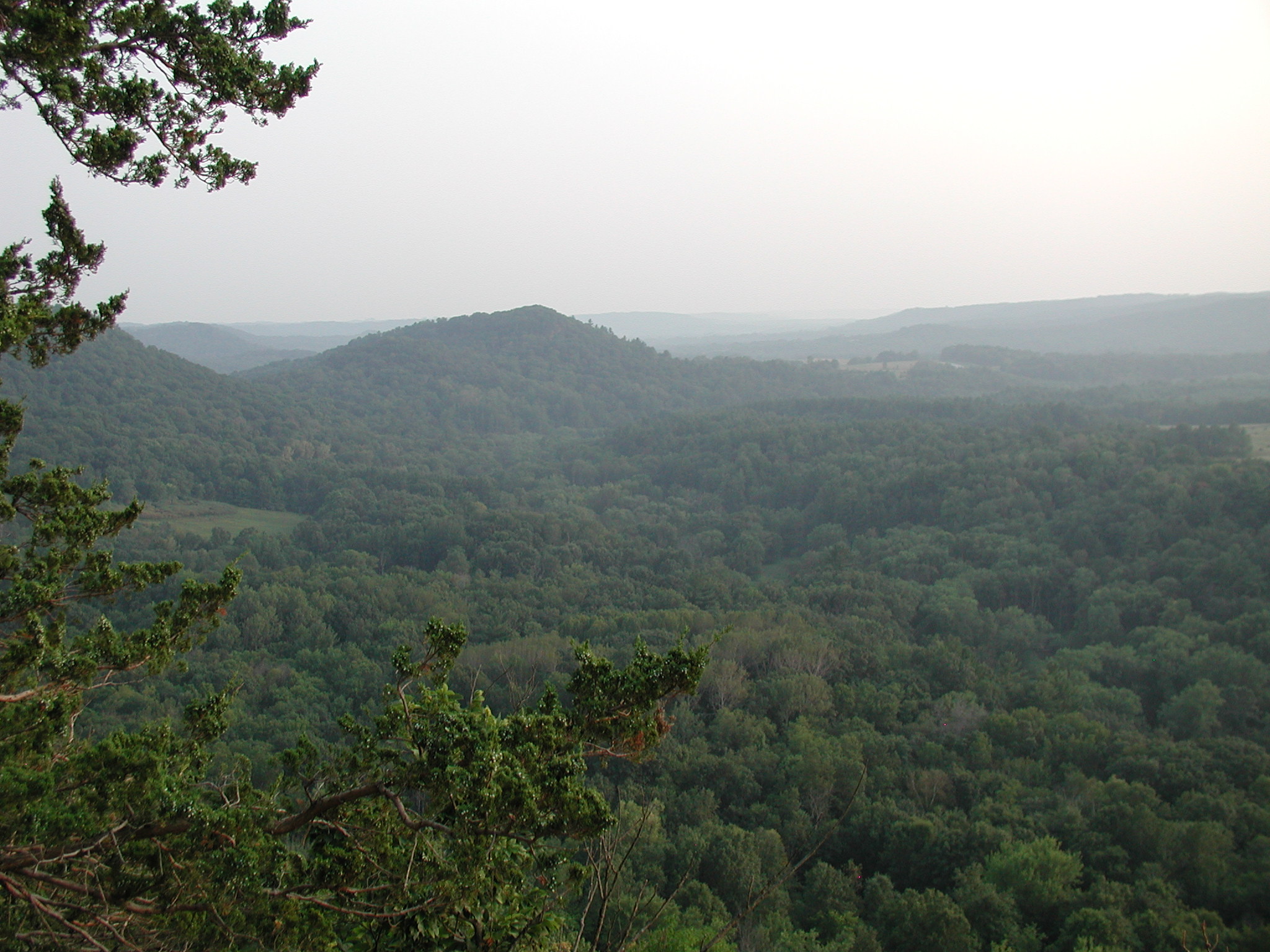 Driftless Landscape