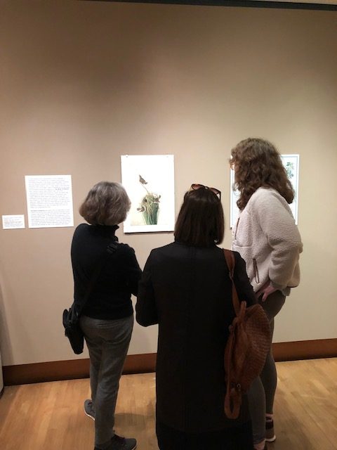 Photo of Kathy Foley, Shannon Pueschner, and Amalia Wojciechowski 