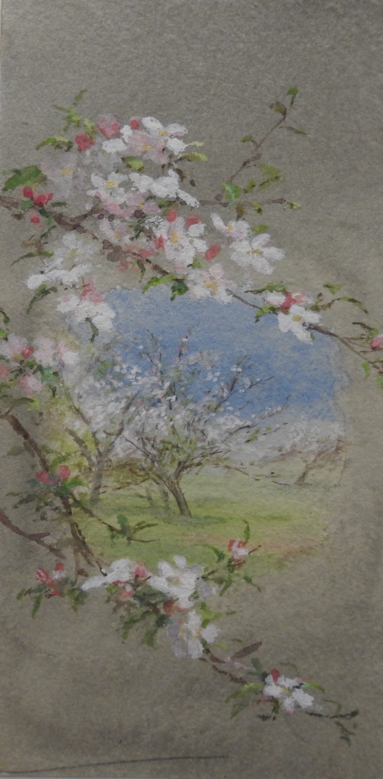 A round vignette of a blooming tree in a field surrounded by blooming branches.