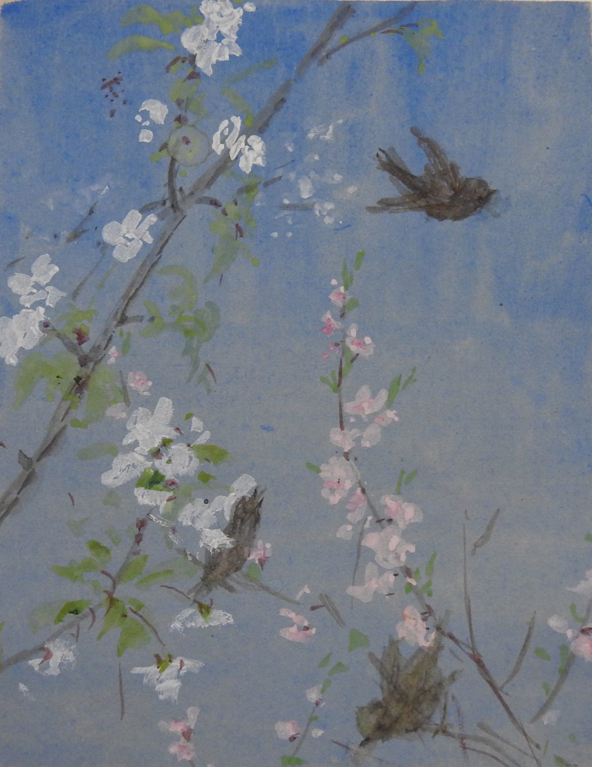 Three birds among blossoms with a blue sky.