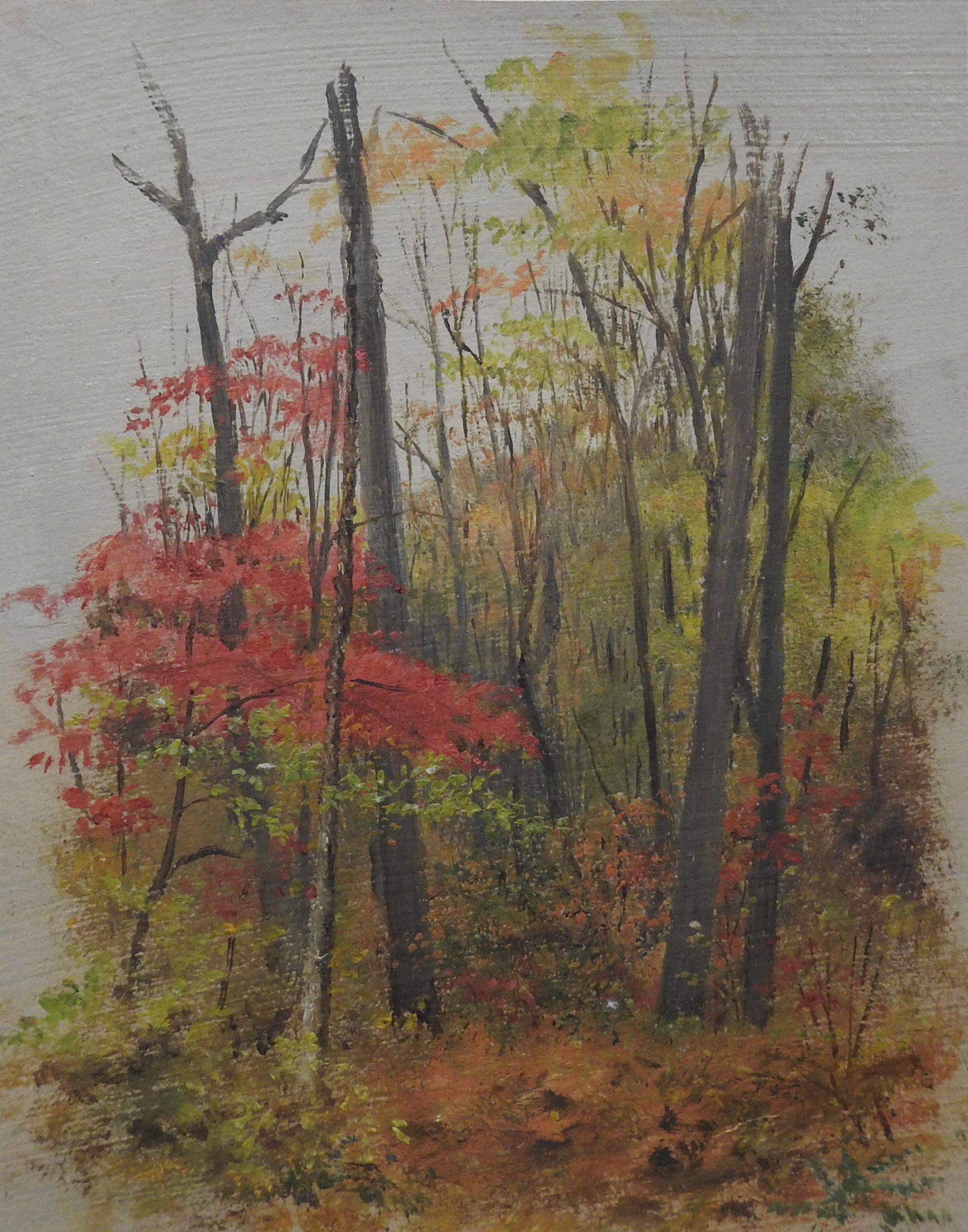 Vignette of a wooded scene in fall with red and orange foliage.