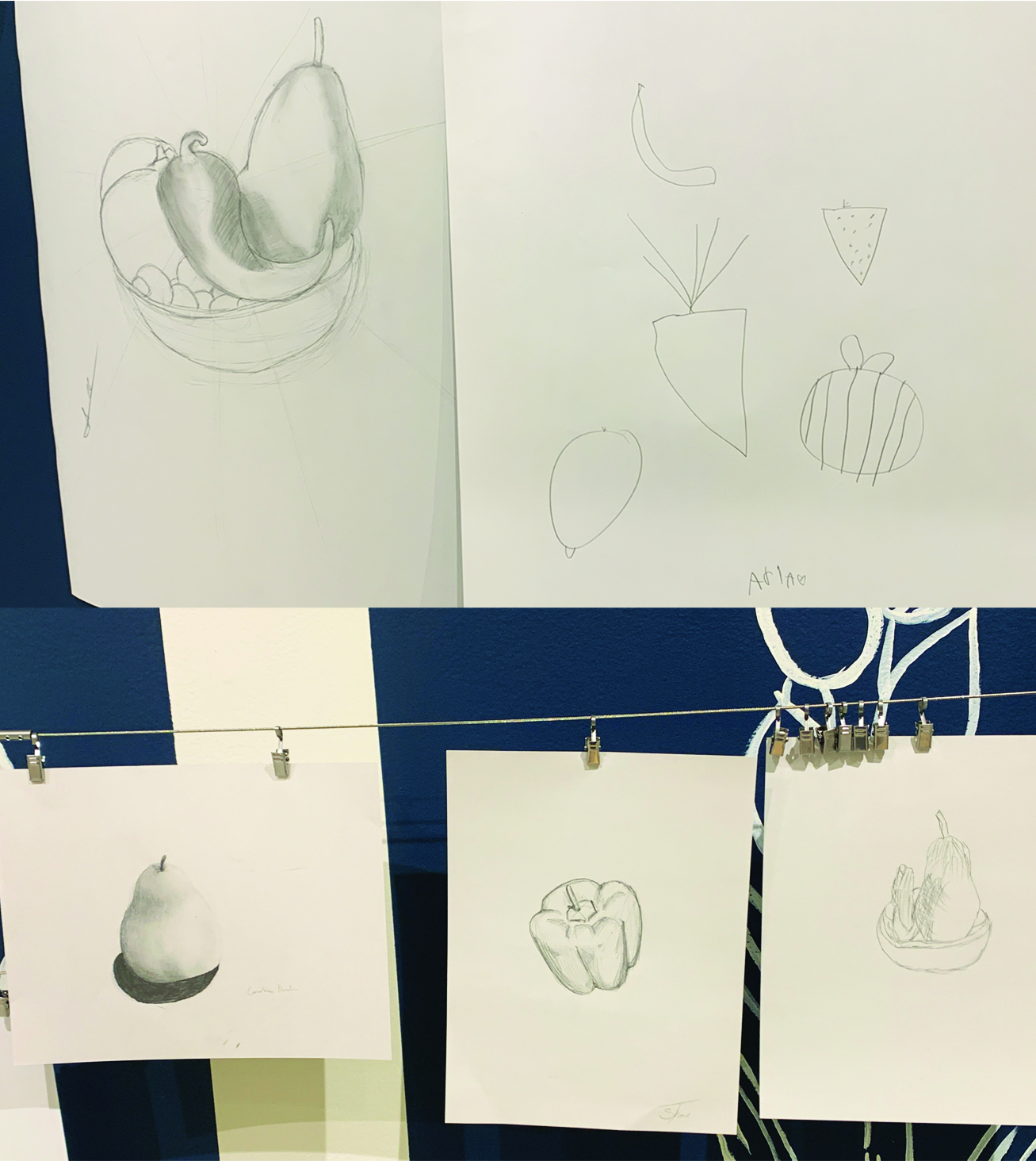 Graphite drawings hang on the wall in Art Park, showcasing a range of skill levels, sketching techniques, and a variety of fruits and vegetables as subjects.