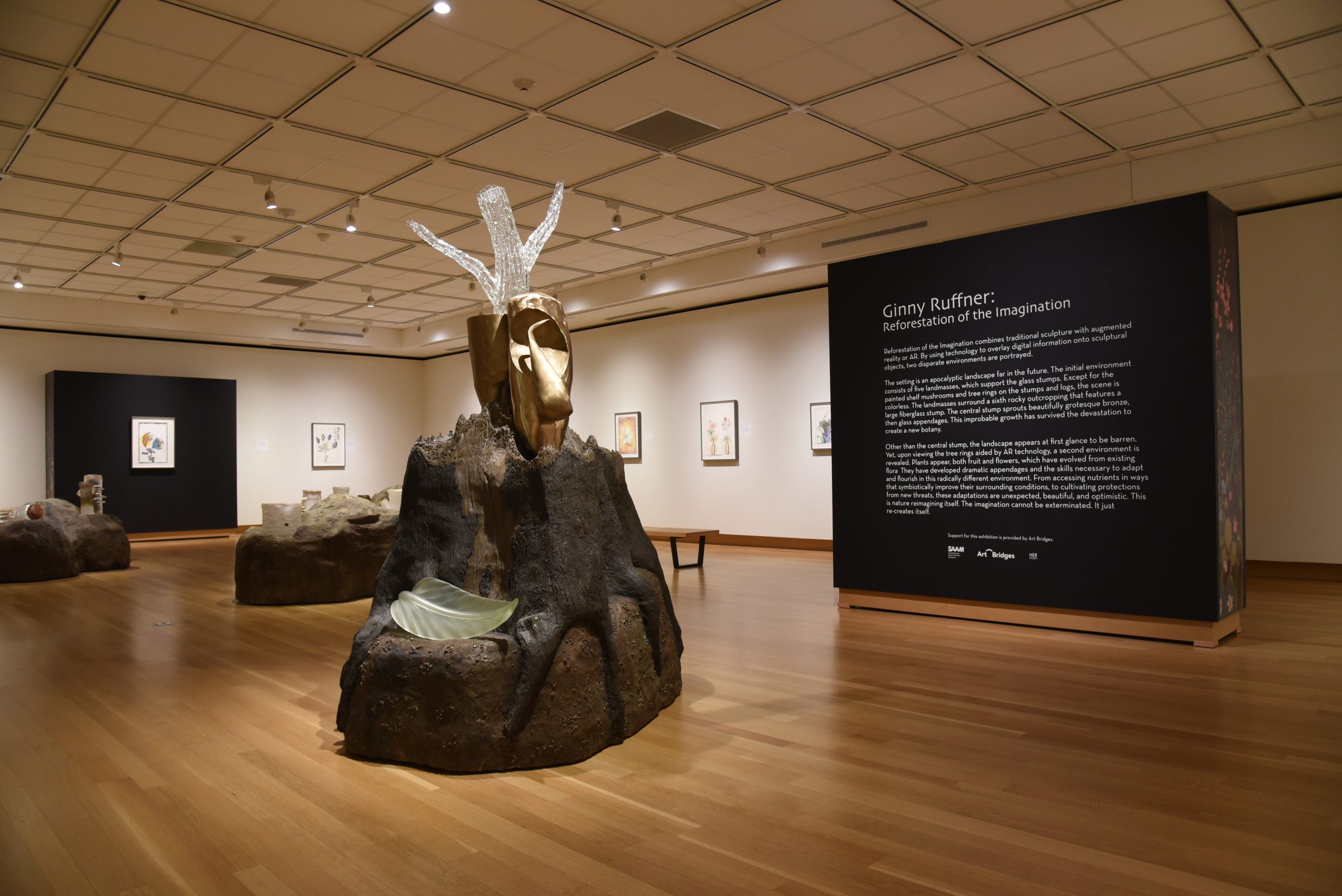 Sculptures of landmasses are dispersed throughout the gallery. Glass stumps with tree rings sit atop each landmass. The surrounding walls are filled with framed drawings of invented plant species.