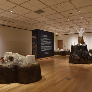 Sculptures of landmasses are dispersed throughout the gallery. Glass stumps with tree rings sit atop each landmass. The surrounding walls are filled with framed drawings of invented plant species.