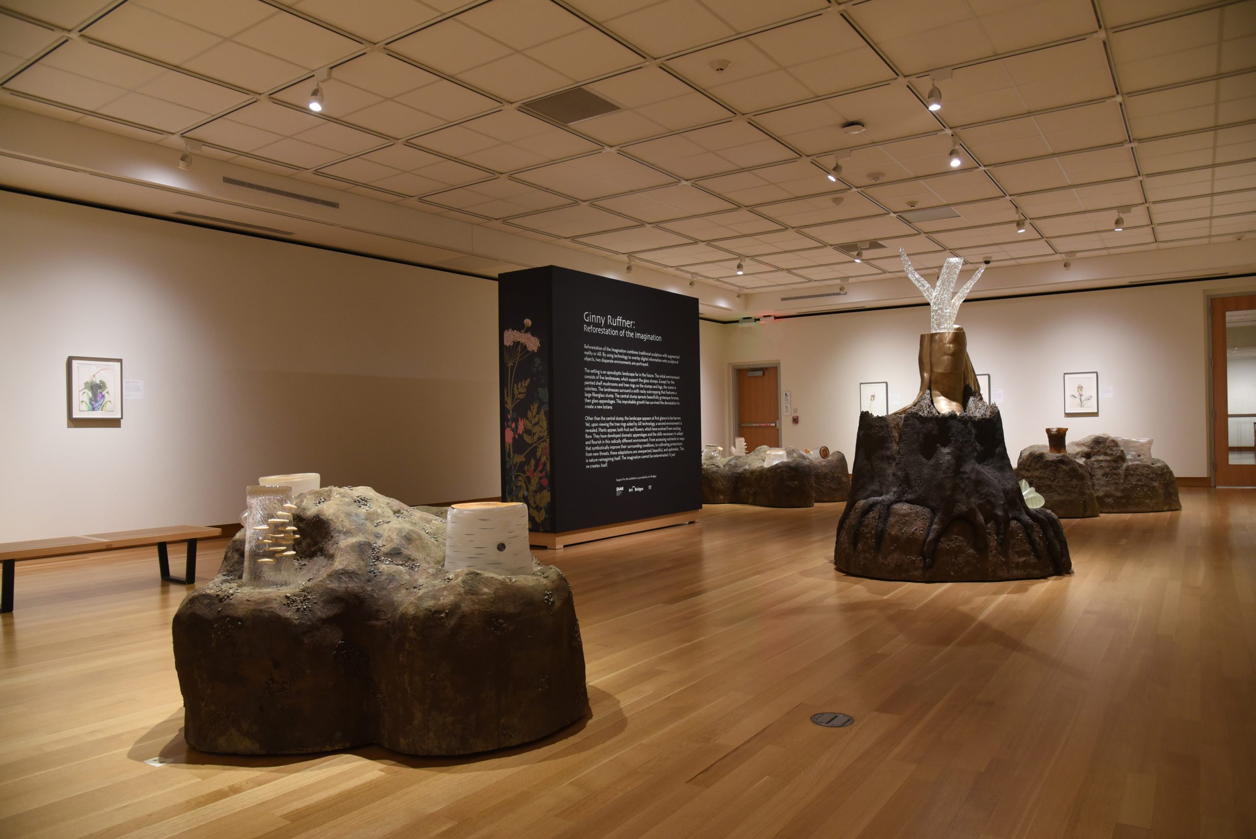 Sculptures of landmasses are dispersed throughout the gallery. Glass stumps with tree rings sit atop each landmass. The surrounding walls are filled with framed drawings of invented plant species.