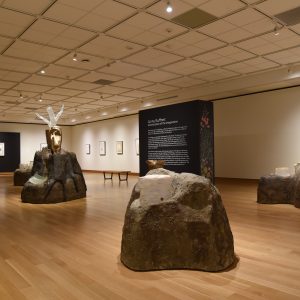 Sculptures of landmasses are dispersed throughout the gallery. Glass stumps with tree rings sit atop each landmass. The surrounding walls are filled with framed drawings of invented plant species.