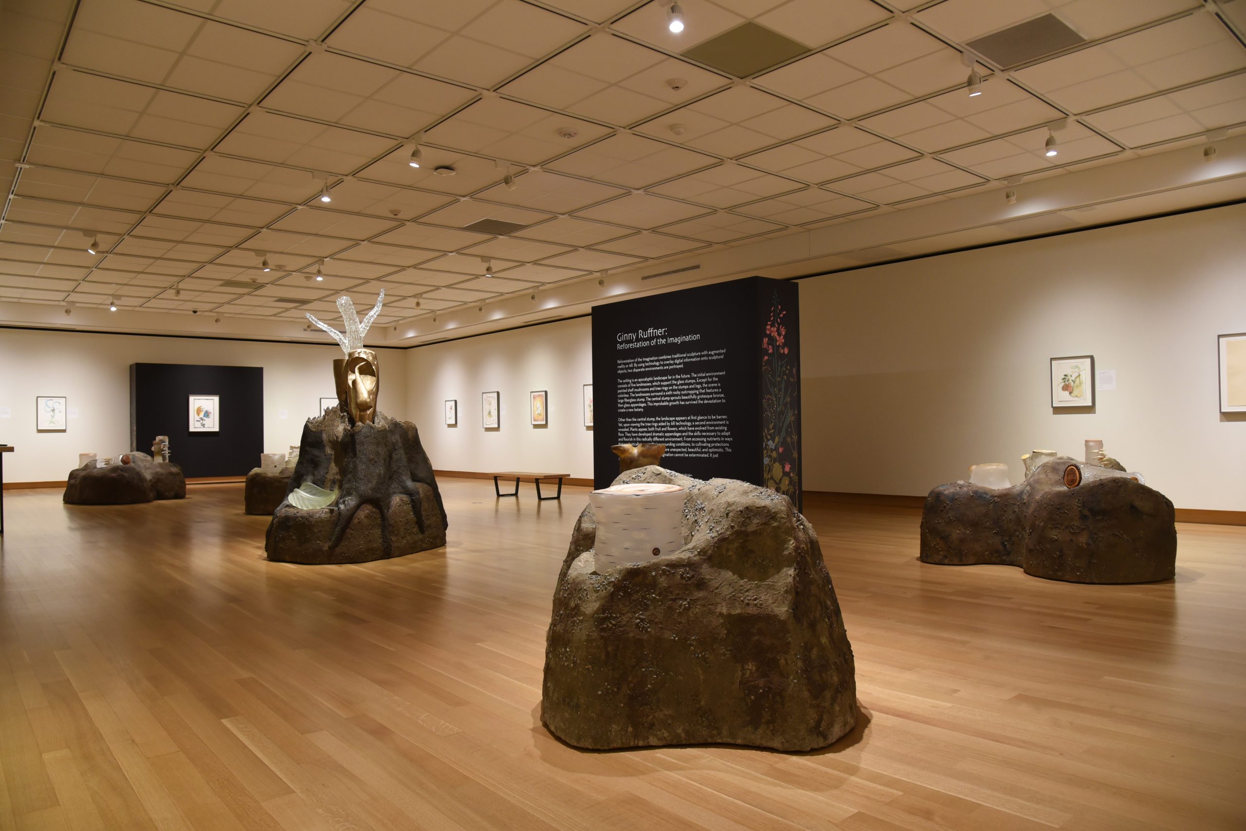 Sculptures of landmasses are dispersed throughout the gallery. Glass stumps with tree rings sit atop each landmass. The surrounding walls are filled with framed drawings of invented plant species.