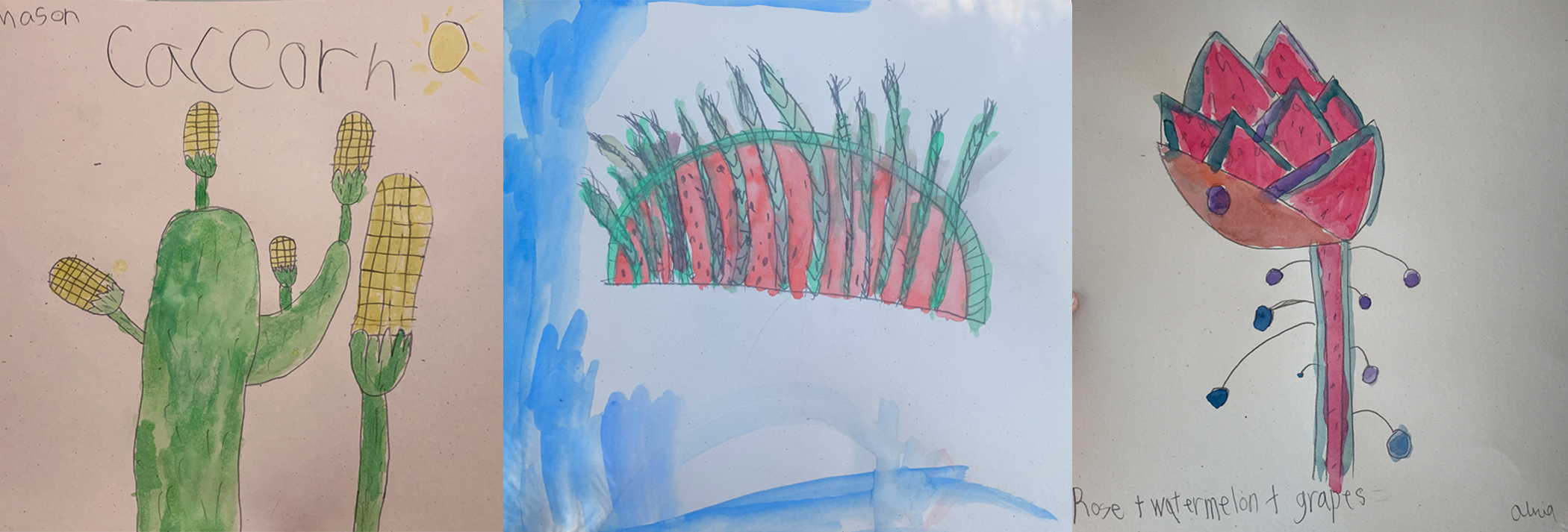 Watercolor creations inspired by Ginny Ruffner: Reforestation of the Imagination invented by children depict three distinct plant combinations, a "caccorn" (cactus and corn), watermelon and asparagus, and a rose, watermelon, and grapes.