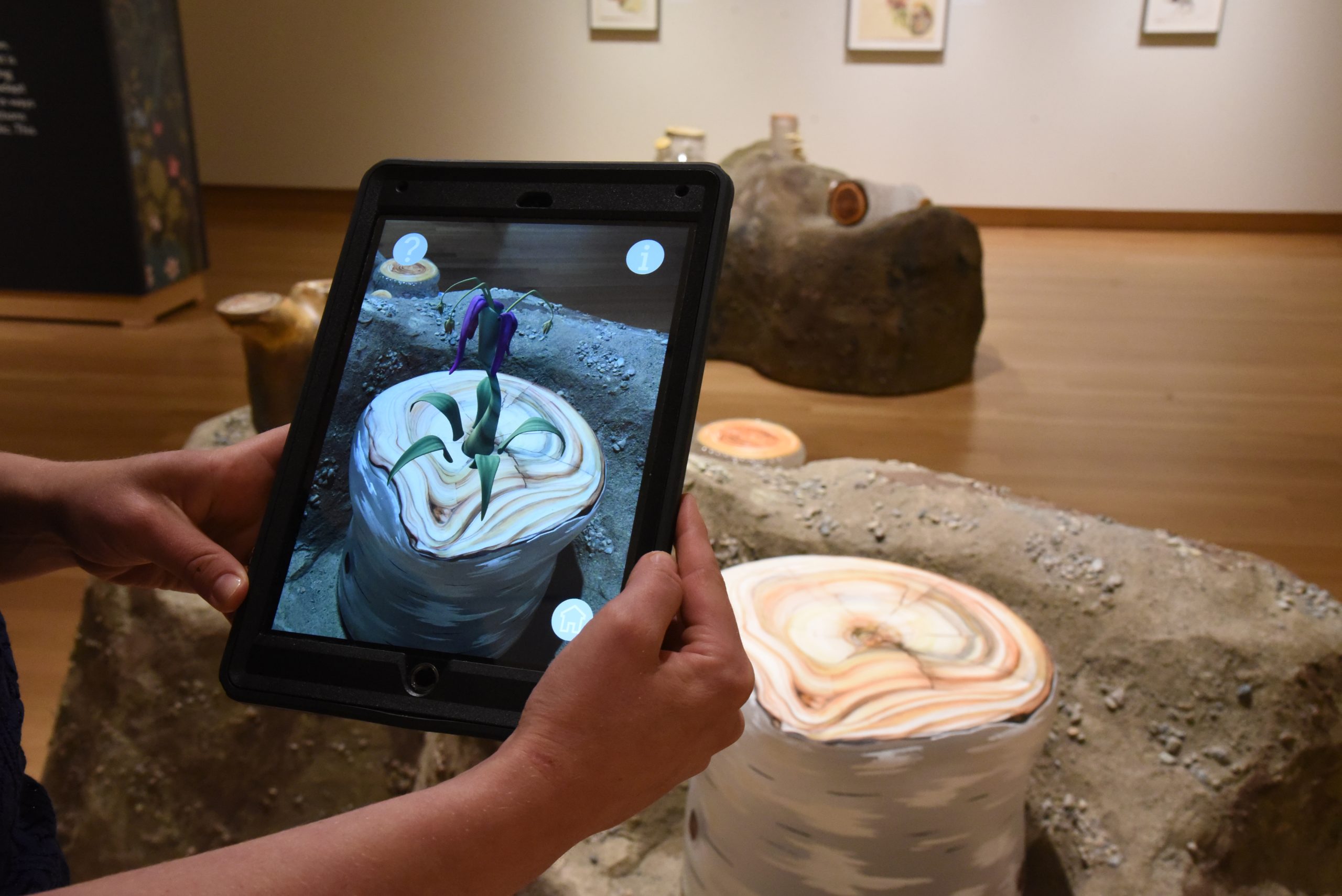 Hands holding an iPad in a gallery space depict the augmented reality feature of the exhibition Reforestation of the Imagination. On screen, the animated flower is sitting in the center of a glass tree stump.