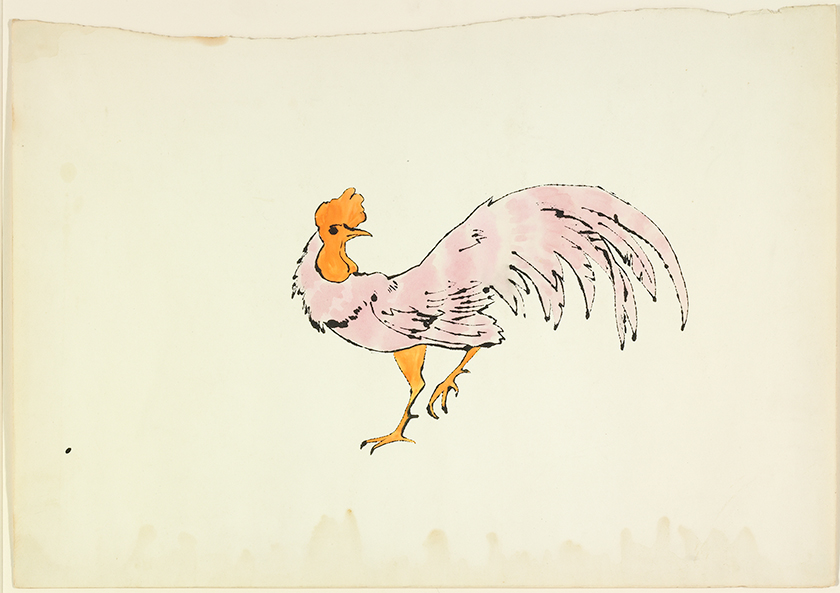 This ink and watercolor painting depicts a pink rooster with orange head and legs. The standing rooster, seen from the side, looks backward with its left foot raised.
