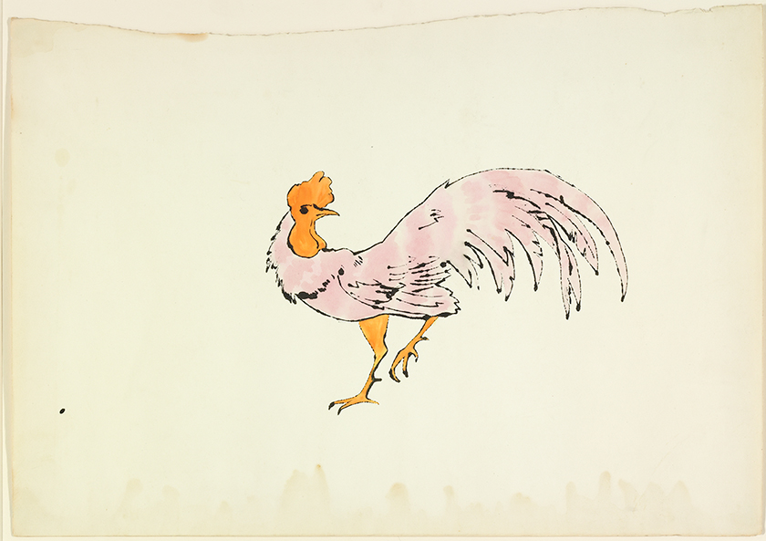 This ink and watercolor painting depicts a pink rooster with orange head and legs. The standing rooster, seen from the side, looks backward with its left foot raised.