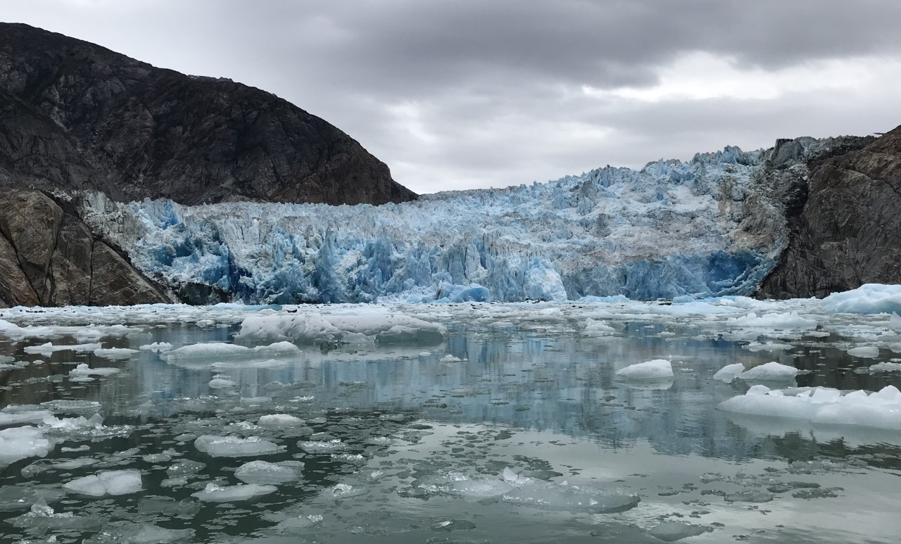 A pale blue-and-white glacier is shown with chunks of snow-topped gray ice floating on water in the foreground, with a dark gray rock in the background and a lighter gray, cloudy sky above.