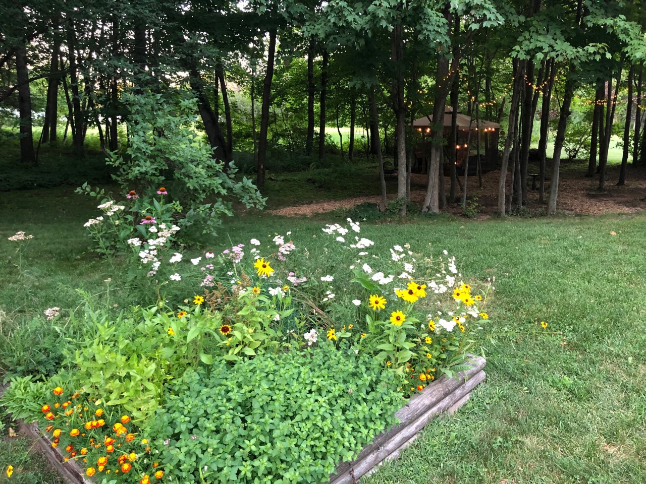 photo of shady backyard with wildflowers in a planter in the foreground