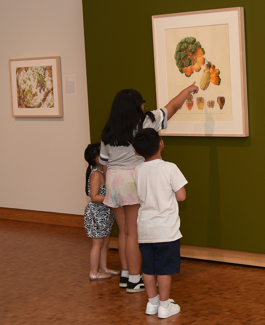 Three children look at and one points toward a watercolor painting of a large sweet fruit, called Jorum, with bumpy green exterior and orange interior, clustered in segments around a large tan seed.