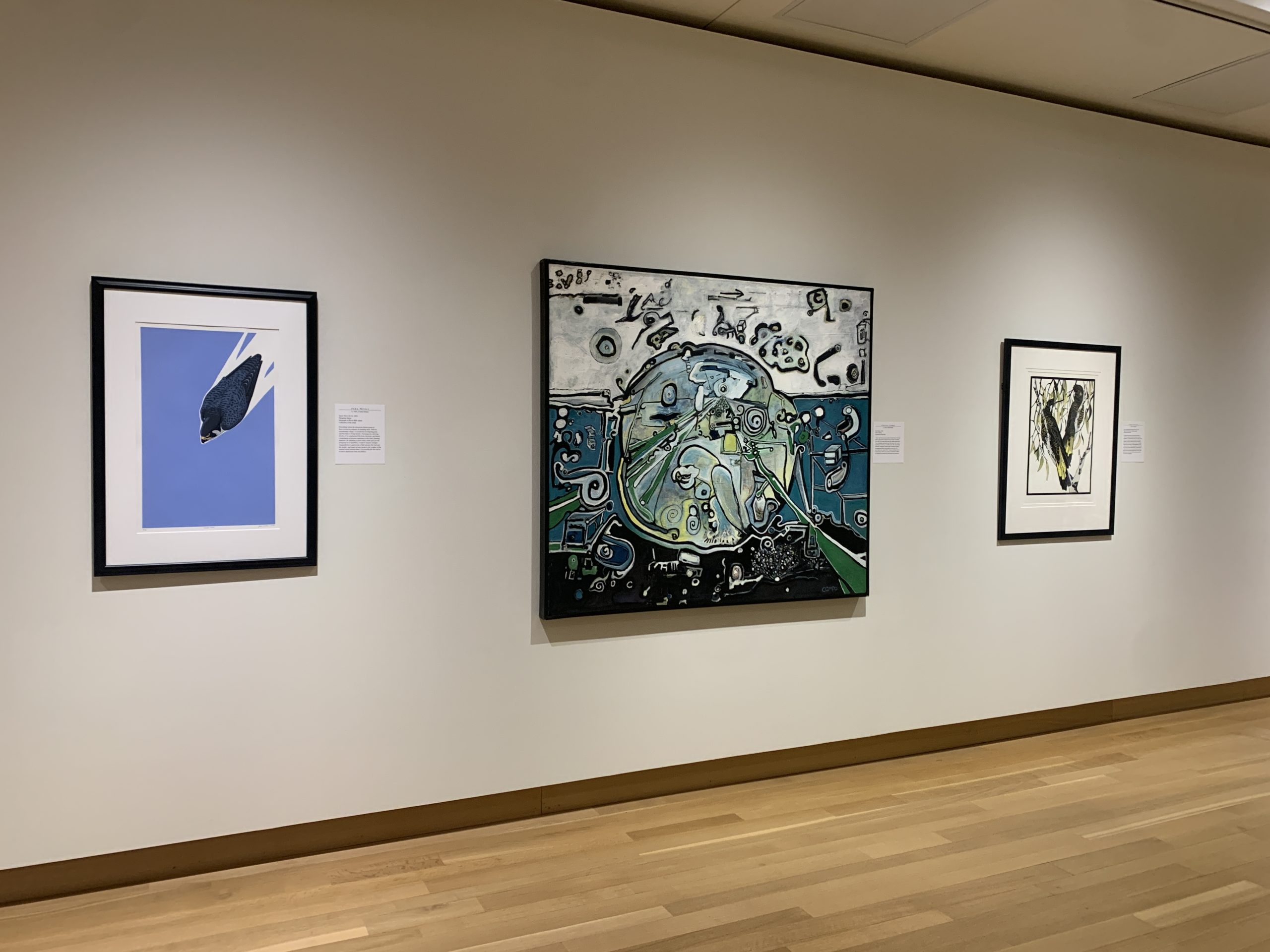 Three artworks from Birds in Art 2022 hang on the gallery wall. (left) A serigraph with a blue background features a Peregrine falcon darting down from the top right corner. (center) A large abstract painting with with blues and greens shows a parakeet surrounded by a circle and surrounded by geometric shapes. (right) A linocut depicts two Cockatoos in a black and yellow color scheme perched in a tree. 
