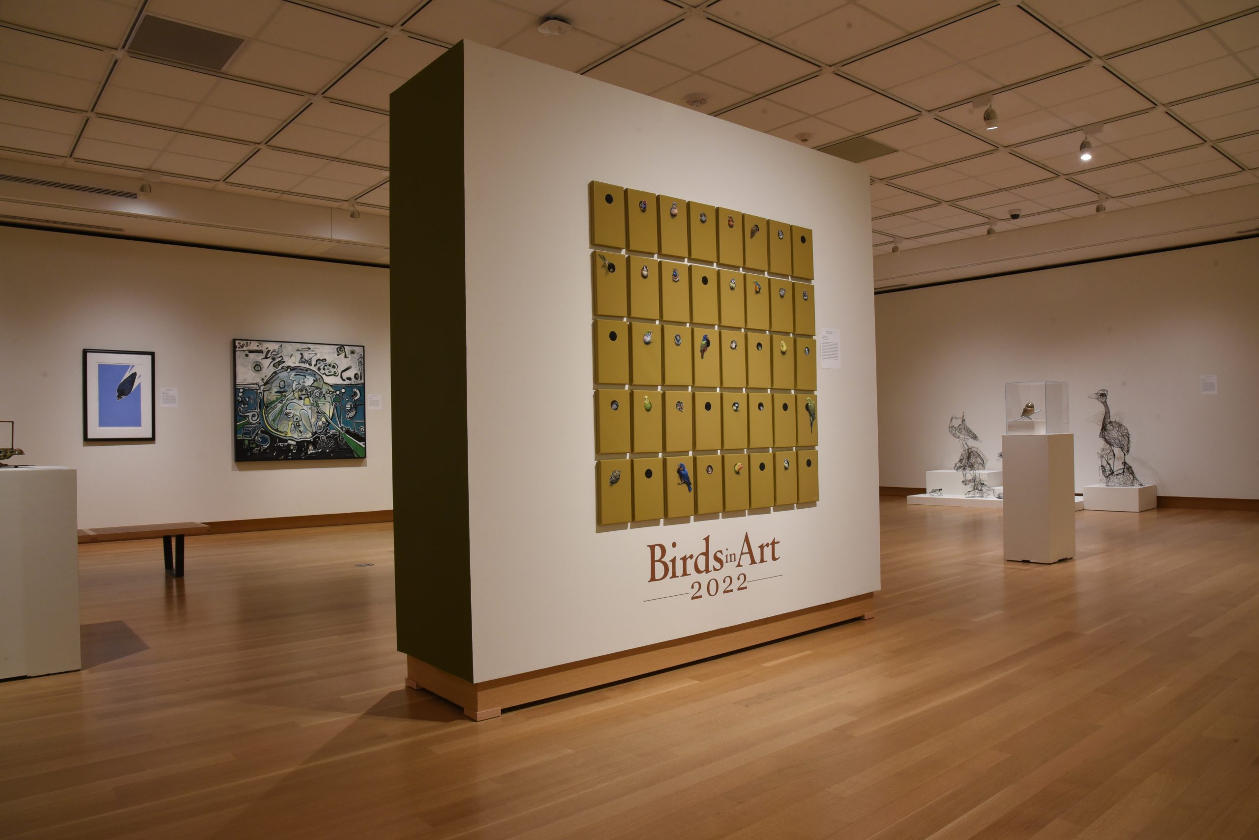 A gallery view depicts paintings, sculptures, and prints from Birds in Art 2022. Marcel Witte's Multicultural is featured center frame, with 40 panels painted like birdhouses and various birds perched or looking out. 