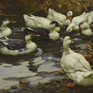 Eight ducks, seen from above, cluster at water's edge in the evening light.