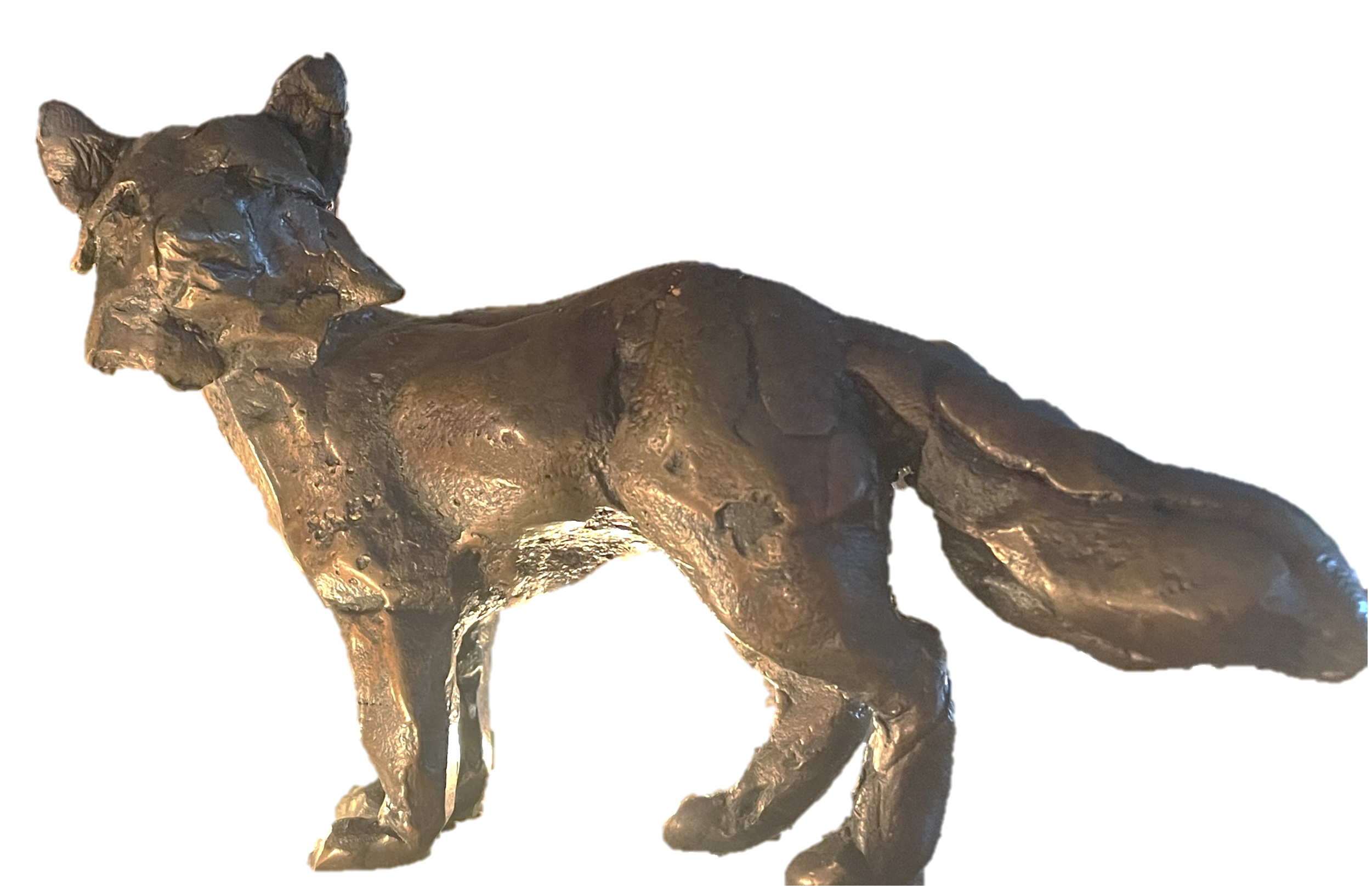Image of a small bronze fox sculpture; the fox's head is turned toward the viewer while it stands in profile. 