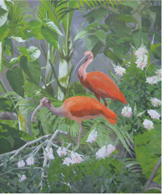 Two scarlet ibis stand in the middle of a lush green jungle.
