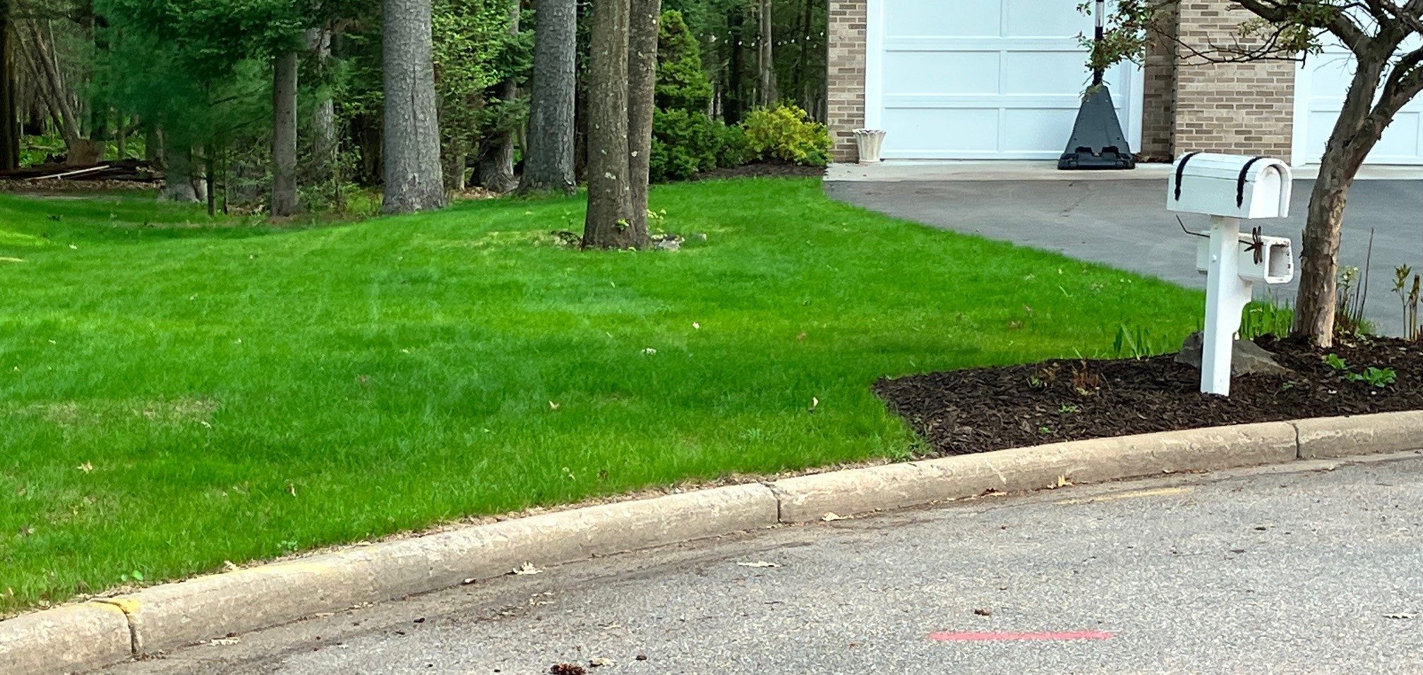 This photo shows a well-manicured lawn