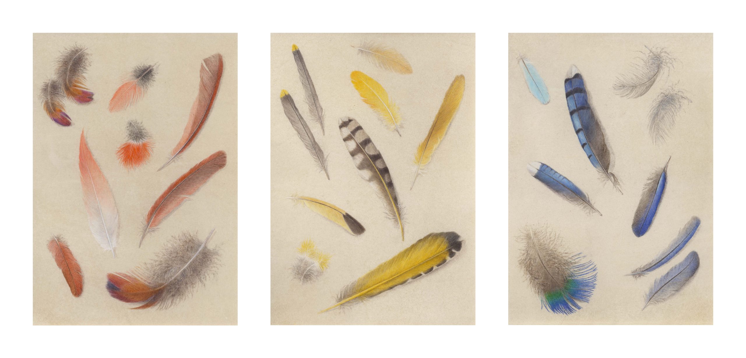 A triptych that depicts multiple feathers utilizes a primary color scheme with red feathers on the right, yellow feathers in the center, and blue feathers on the right
