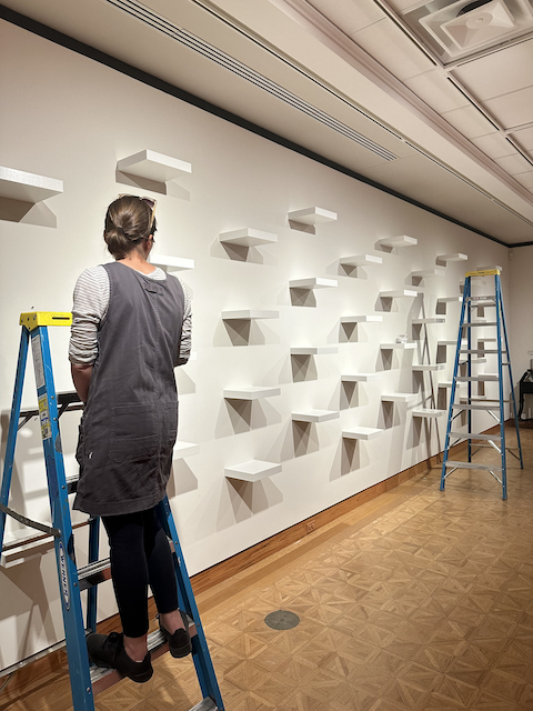 A woman on a ladder standing in front of a wall of shelves.
