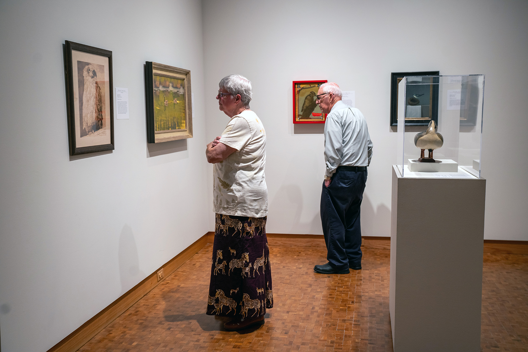 Two visitors look at artworks on Birds in Art gallery walls
