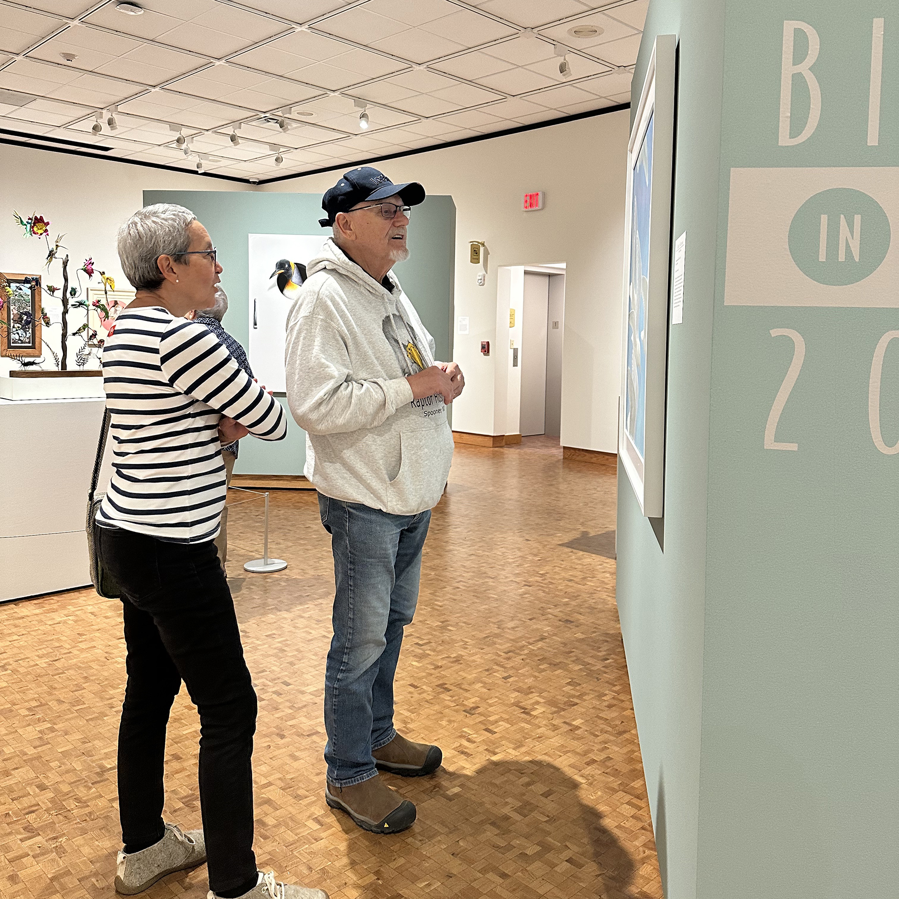 Two visitors enjoy looking at artwork in the Birds in Art galleries