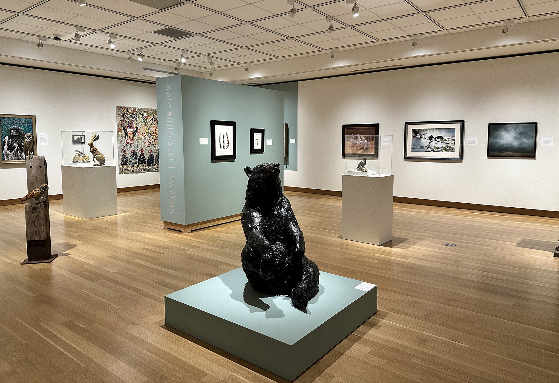 Image of Birds in Art galleries with artwork on the walls and sculptures on the ground
