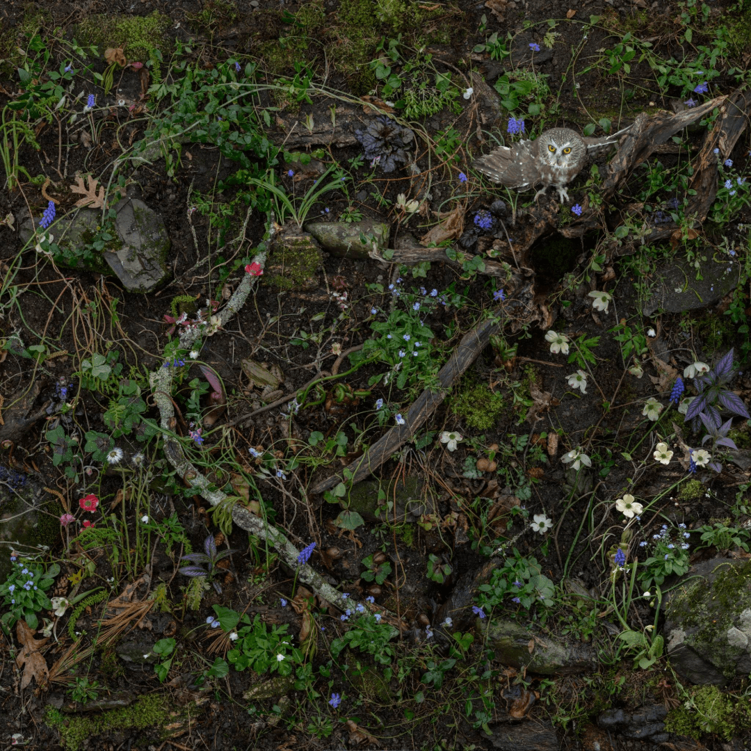 Women Reframe American Landscape