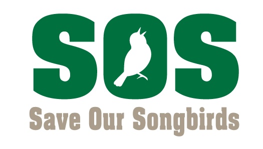 Keeping a Bird-Friendly Yard