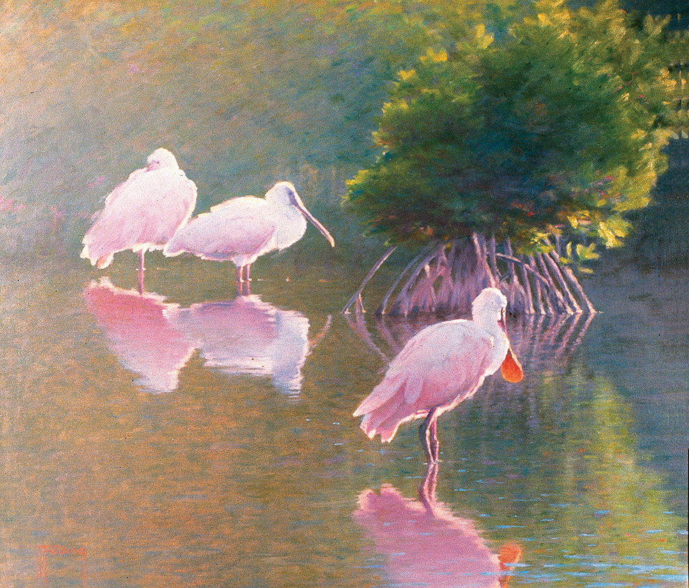 Avian Celebrations