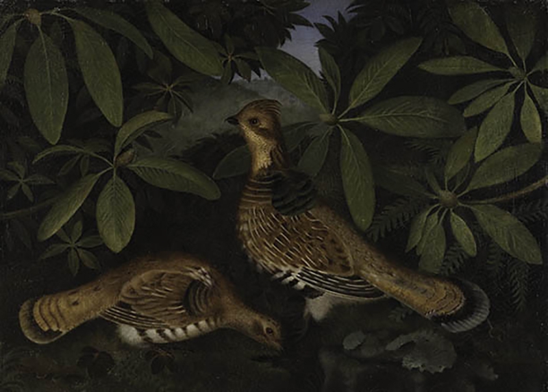 Birdwatching: Selections from the Collection