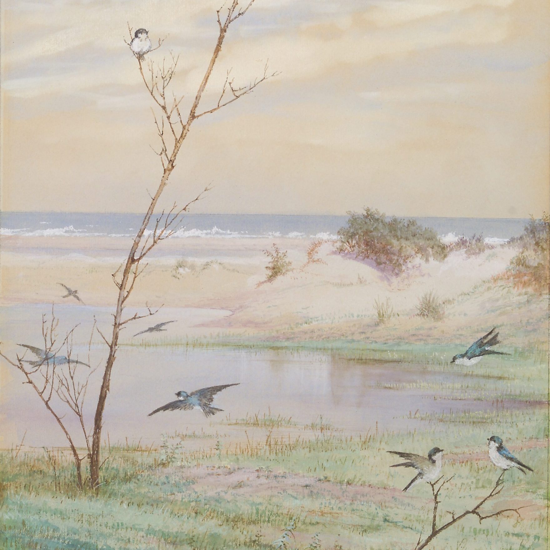 Fidelia Bridges: The Artful Sketch