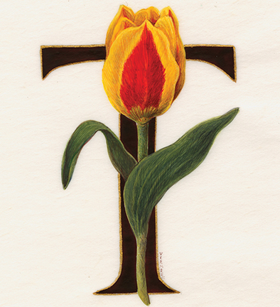 Flora, Fauna, Font: Illustrating the Alphabet