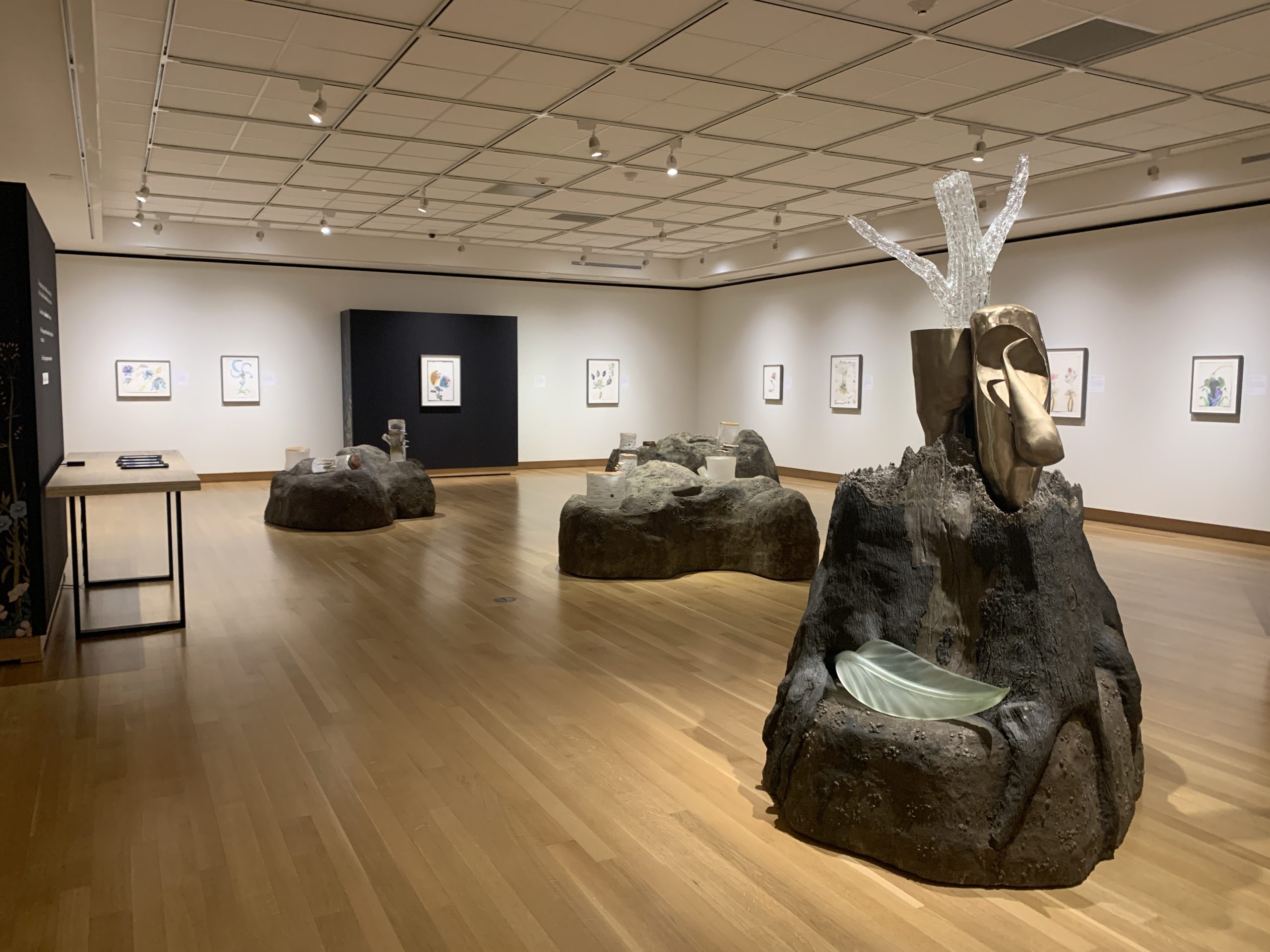 Sculptures of landmasses are dispersed throughout the gallery. Glass stumps with tree rings sit atop each landmass. The surrounding walls are filled with framed drawings of invented plant species.