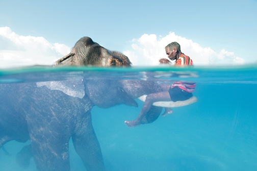Rarely Seen: Photographs of the Extraordinary
