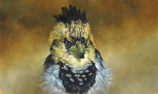 Regal Bearing: Bird Portraiture