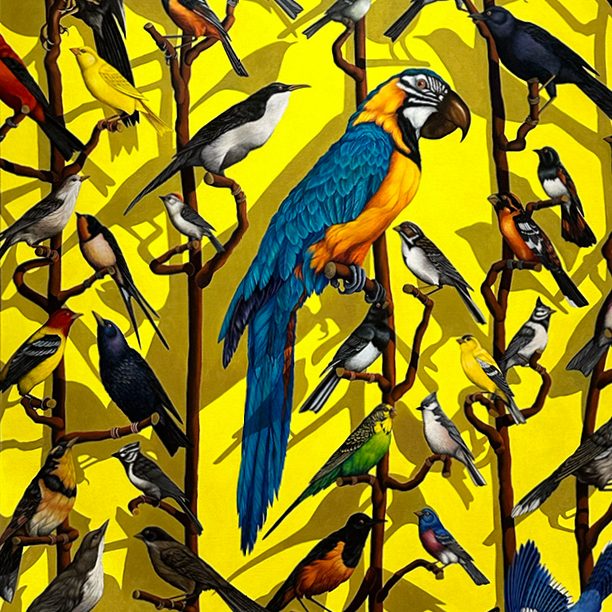 The Bird Room Redux