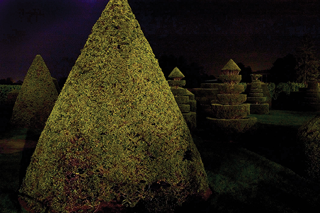 blogTwo7-22-15GardensAtNight-Longwood-Topiary