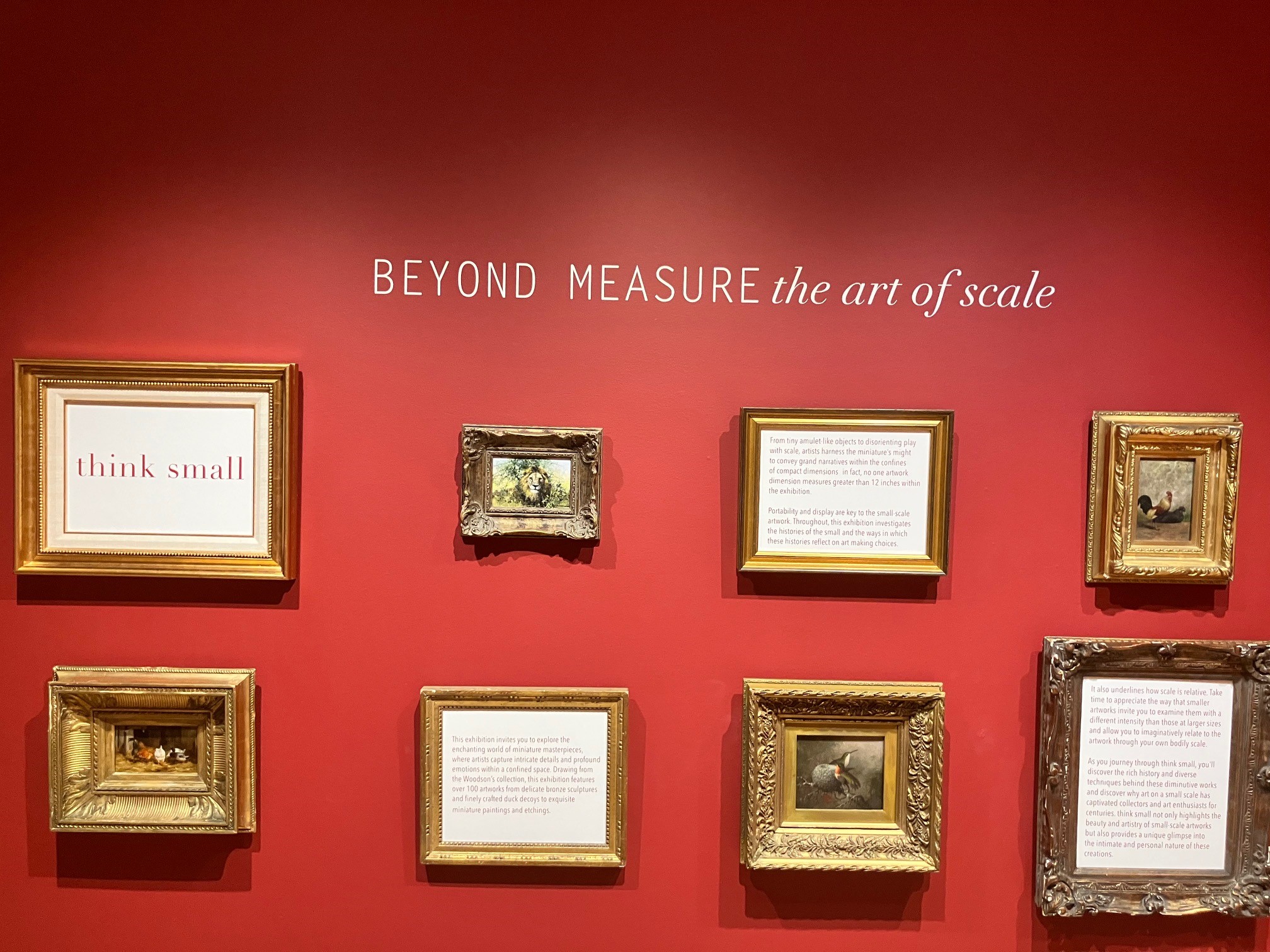 This image shows a David Shepherd painting of a lion amongst other paintings and the title panel for the exhibition think small.
