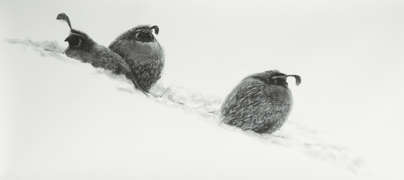 Birds in Art 2024