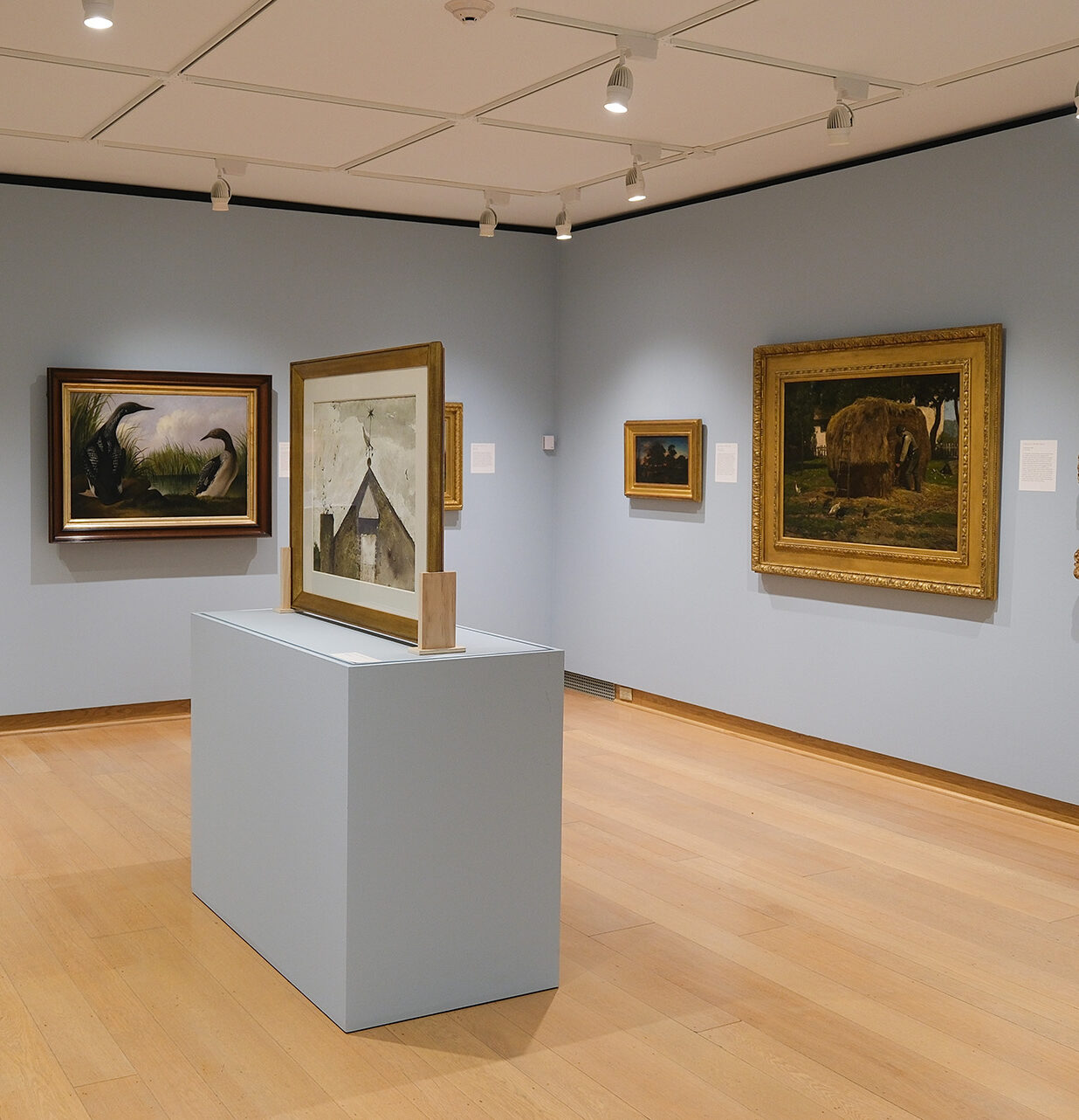 Beneath the Surface: Hidden Histories in Audubon and Wyeth