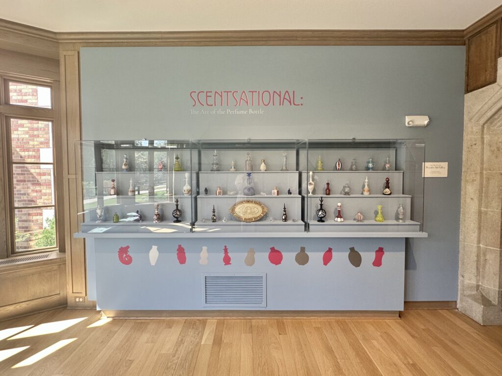 an image of a gallery wall with perfume bottles sitting on shelves.