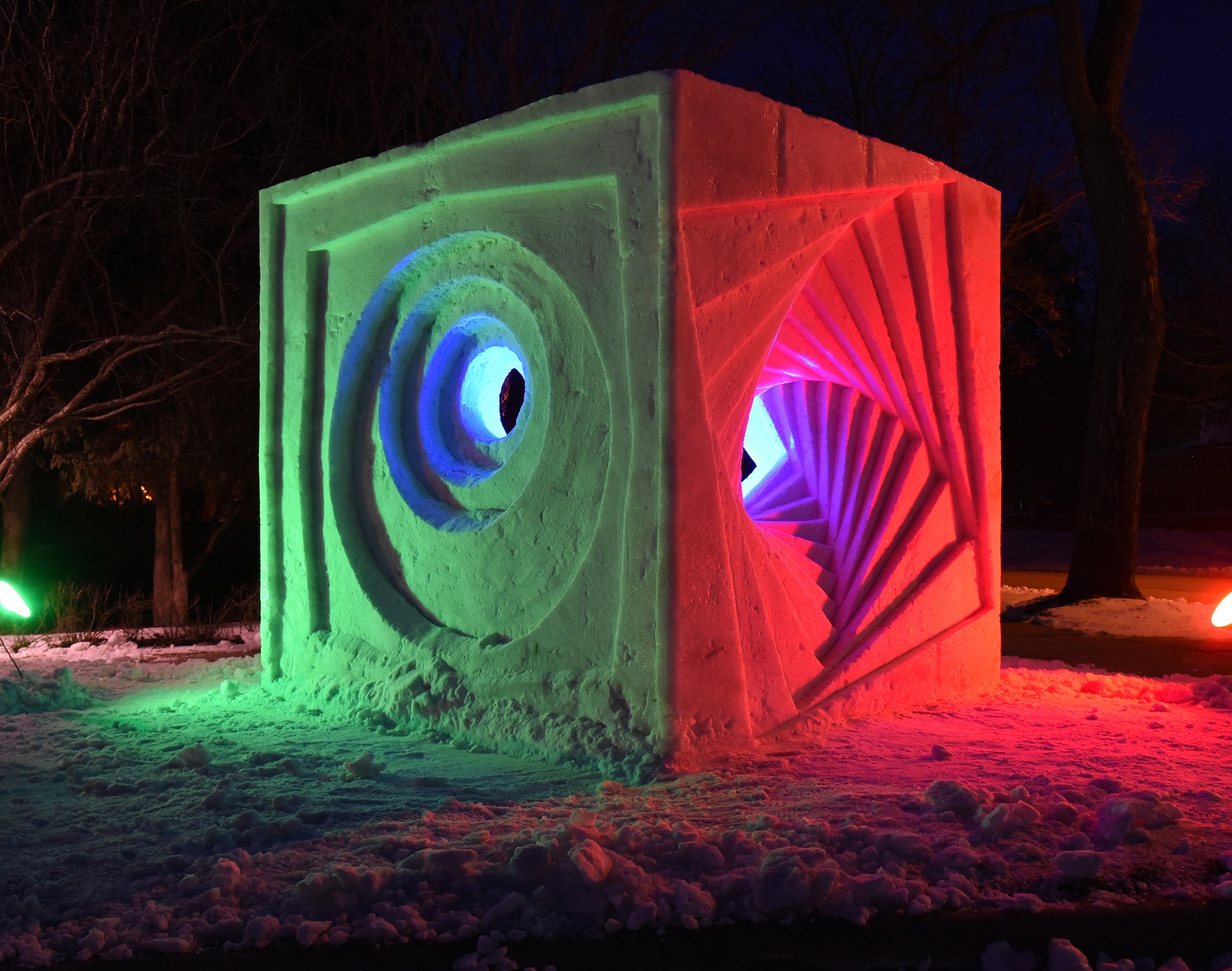 Captured in Cold: Photographs from 35 Years of Team USA Snow