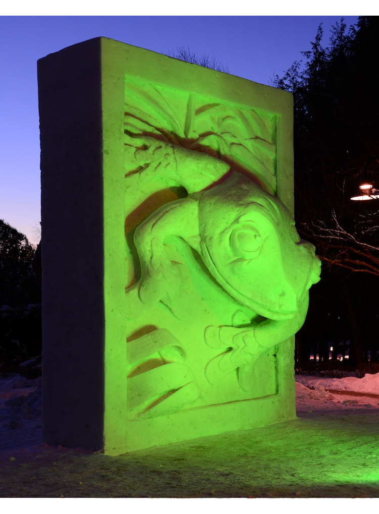 Captured in Cold: Photographs from 35 Years of Team USA Snow